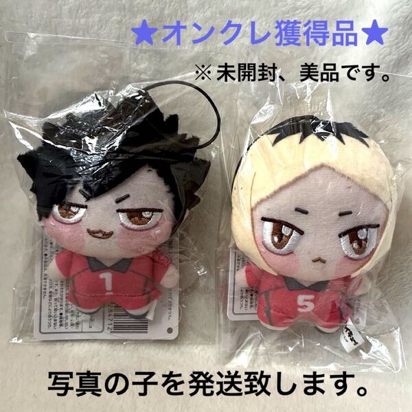 【オンクレ獲得、美品】ハイキュー!!ちょぴぬいぷち 黒尾鉄朗・孤爪研磨