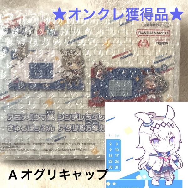 【オンクレ獲得】ウマ娘 きゅるぽっぷん アクリル万年カレンダー オグリキャップ