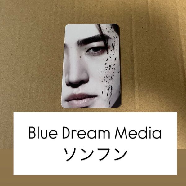 ENHYPEN DESIRE:UNLEASH BDM トレカ ソンフン