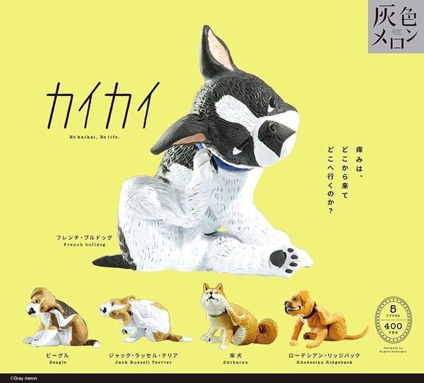 全5種フルコンプセット【灰色メロン カイカイ】いぬ 犬 イヌ 新品未開封 匿名配送 ガチャ カプセルトイ 柴犬 ビークル テリア