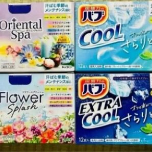 入浴剤 花王バブ cool 期間限定 数量限定 10種類24個 詰め合わせ