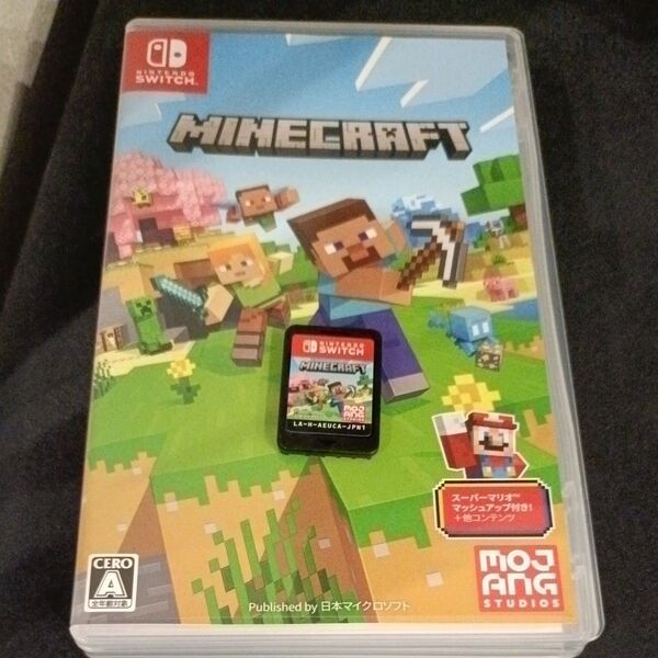 Minecraft Nintendo Switch