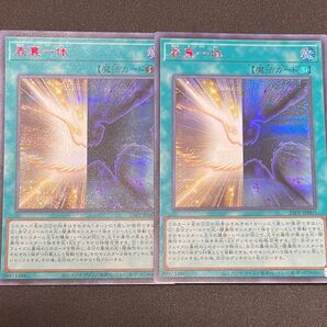 表裏一体 SPECIAL RED Ver. 2枚セット