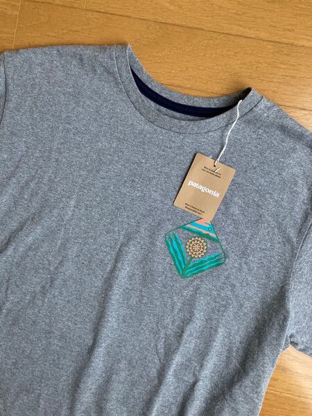 patagonia Tシャツ M
