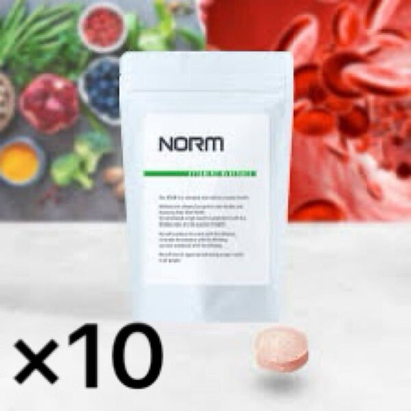 NORM タブレット 10個セット 健康食品