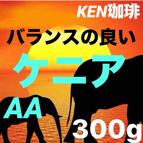 自家焙煎コーヒー豆 ケニアAA(バランスの良い) ケニア産 300g 注文後焙煎 KEN珈琲