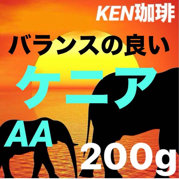 自家焙煎コーヒー豆 ケニアAA(バランスの良い) ケニア産 200g 注文後焙煎 KEN珈琲
