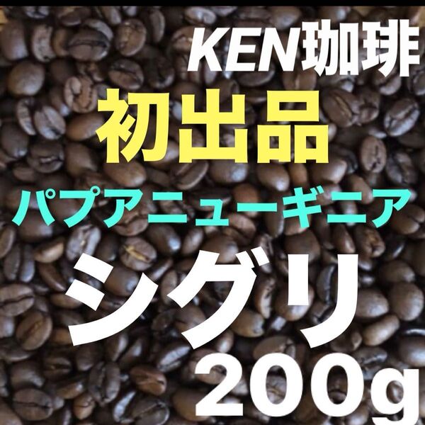 数量限定 自家焙煎コーヒー豆 シグリ パプアニューギニア産 200g 注文後焙煎 KEN珈琲