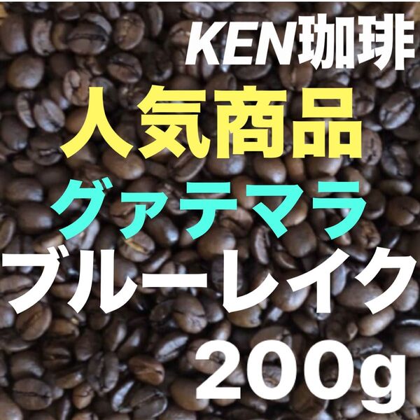 自家焙煎コーヒー豆 当店人気商品 ブルーレイク グァテマラ産 200g 注文後焙煎 約20杯分1杯67円