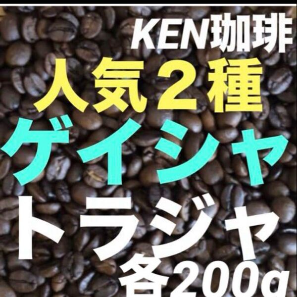 自家焙煎コーヒー豆 人気2種 ゲイシャ200gトラジャ200g合計400g100円引き 購入後焙煎