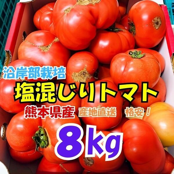熊本県産 塩混じり トマト 約8kg(送料無料)