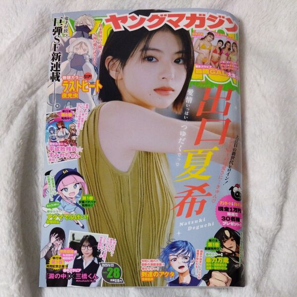 週刊ヤングマガジン No.28 最新号 切り取りなし
