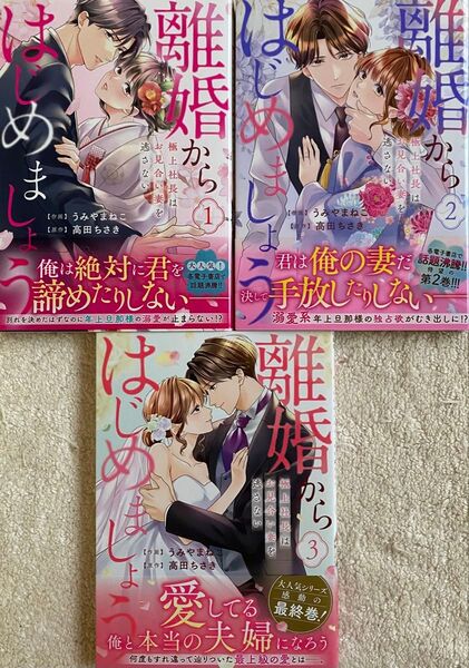 離婚からはじめましょう 極上社長はお見合い妻を逃さない 全3巻/うみやまねこ