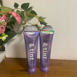 アンドティント カラーシャイン ヘアパック 130g ×2個セット うるサラタイプ アメジストグレープの香り