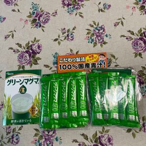 グリーンマグマ 生エキス青汁 20包