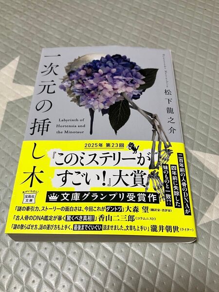 一次元の挿し木 (宝島社文庫 Cま-5-1 このミス大賞) 松下龍之介/著