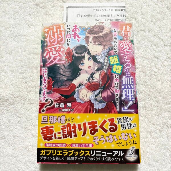 【ガブリエラブックス5月新刊】「君を愛するのは無理!」と言われたので離婚に向けて動きま……あれ、いつの間にか溺愛はじまってます?