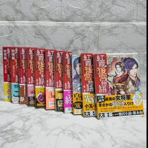 紅霞後宮物語 雪村花菜 富士見L文庫 文庫 小説 ライトノベル ラノベ 11冊セット
