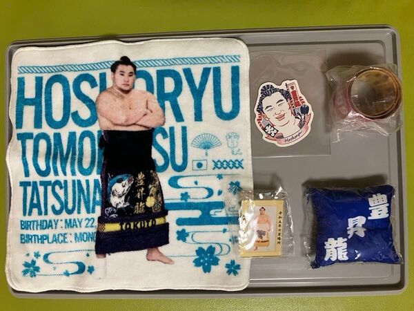 大相撲 豊昇龍 グッズまとめ売り