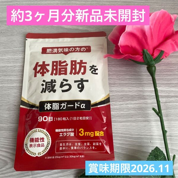 体脂肪を減らす 体脂ガードα 90日分 DUEN 機能性表示食品 エラグ酸 ダイエットサプリ 新品 未開封 ダイエット