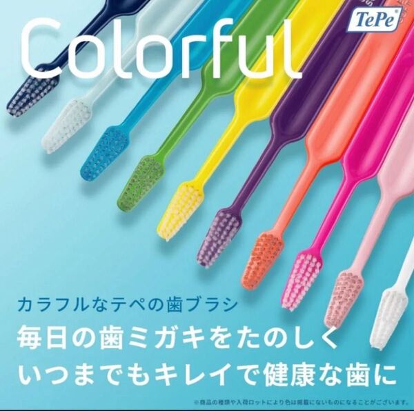 《23日迄の限定SALE》Tepe(テペ) セレクト XーSoft(エクストラソフト)6本セット