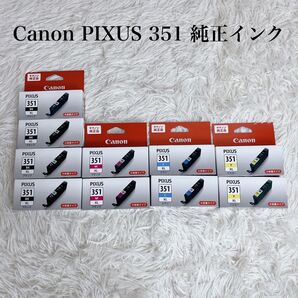 Canon PIXUS 351 純正 インク 10個 セット キャノン