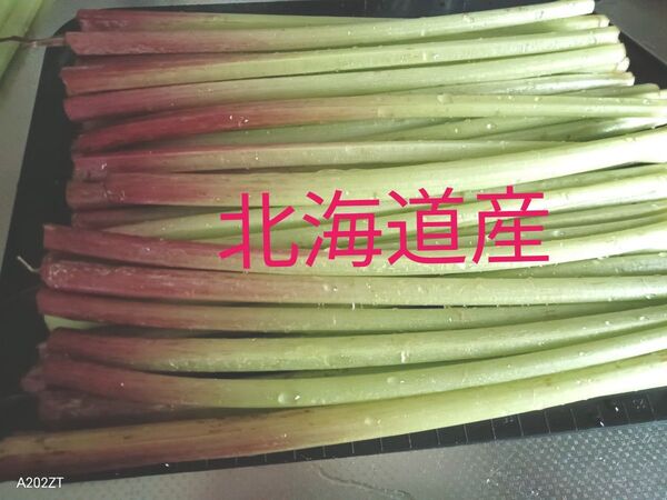 北海道産 天然ふき