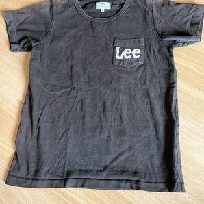 Lee Tシャツ レディース リー Tシャツ ダークグレー S