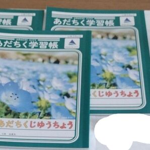 あだちく学習帳 3冊