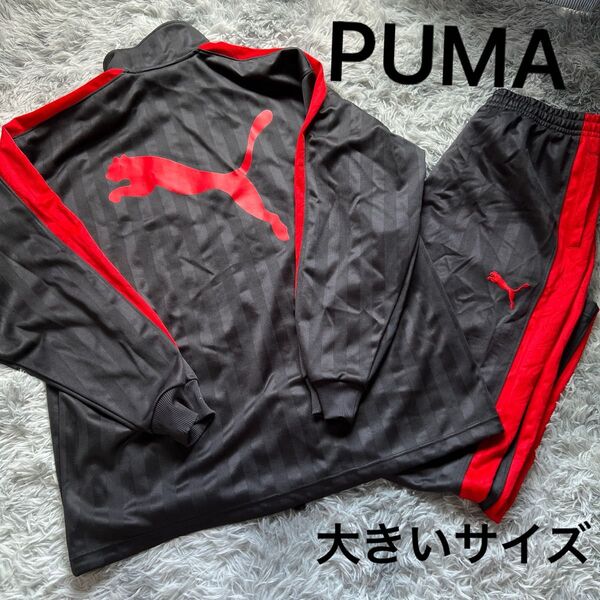 PUMA プージャ 赤×黒 レア色 上下セット L〜O 美品 平成 y2k トラックジャケット パンツ 廃盤品