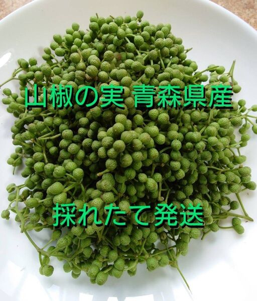 ☆送料無料☆青森県産 山椒の実 500g