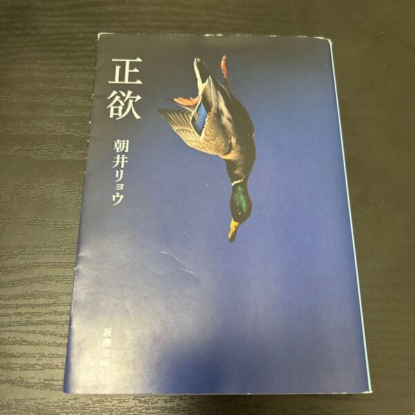 正欲 朝井リョウ 小説 文庫本