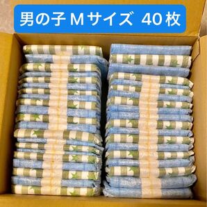 【追加増量 40枚】マナーウェア Mサイズ 小・中型犬 男の子用