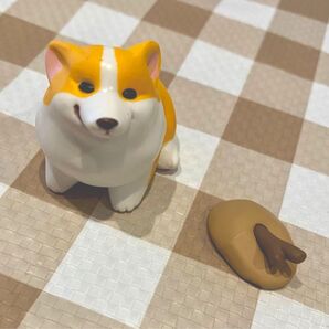 こぎさんぽ 【棒を埋めて満足げなコーギー】