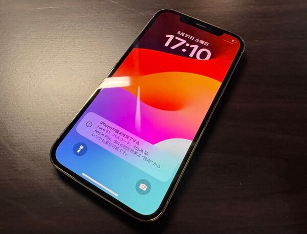 iPhone12Pro 256GB パシフィックブルー 極美品 バッテリー純正88% SIMフリー