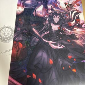 グラフェス グラブル 十賢者 ファイル カイム ニーア ハーゼリーラ セット