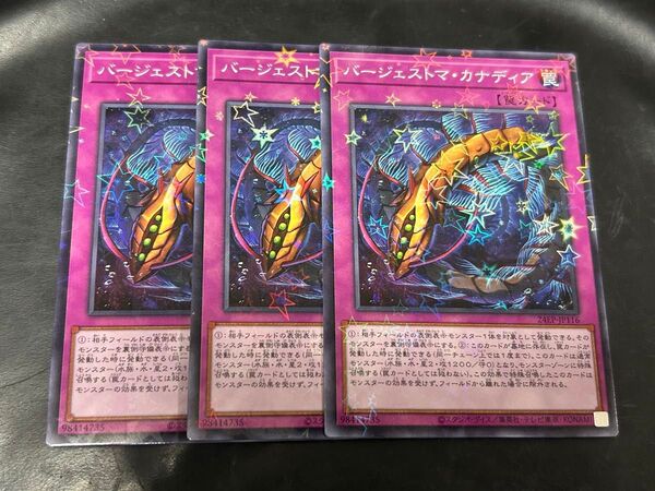 遊戯王 バージェストマカナディア スターホイル 3枚 24EP-JP116
