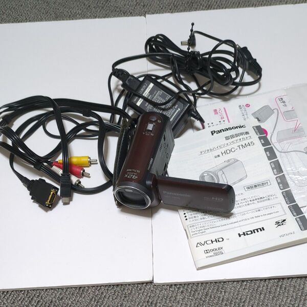 パナソニック Panasonic HDC-TM45 デジタルビデオカメラ ジャンク品