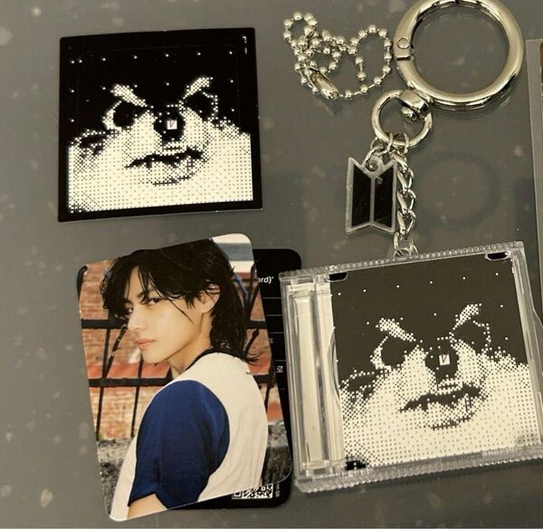 BTS テテ LAYOVER FESTA 2025 Capsule F725