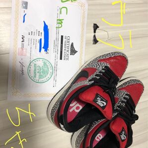フェイクバスターズコンプリート鑑定書付Supreme ×NIKE SB DUNK low Red cement 2012シュプダン