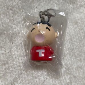 めじるしアクセサリー サンリオ みんなのたあ坊 ガチャ カプセルトイ チャーム キーホルダー めじるし たあ坊 Part1 大賞