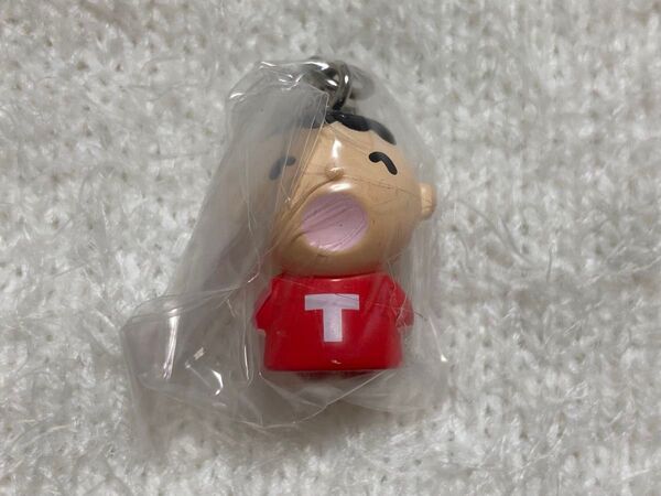 めじるしアクセサリー サンリオ みんなのたあ坊 ガチャ カプセルトイ チャーム キーホルダー めじるし たあ坊 Part1 大賞