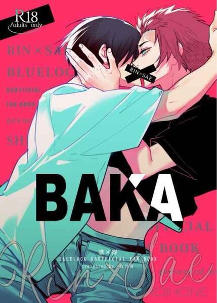 ブルーロック同人誌 DIARY カニスの骨 凛冴 糸師冴 糸師凛