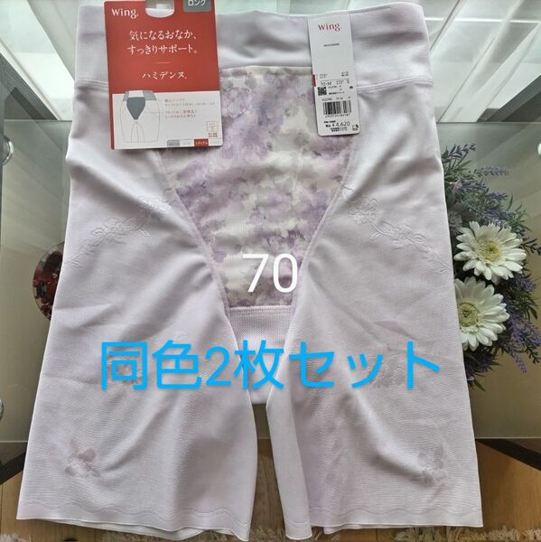 Wacoal ウィング ハミデンヌ ロングガードル 70 2枚セット