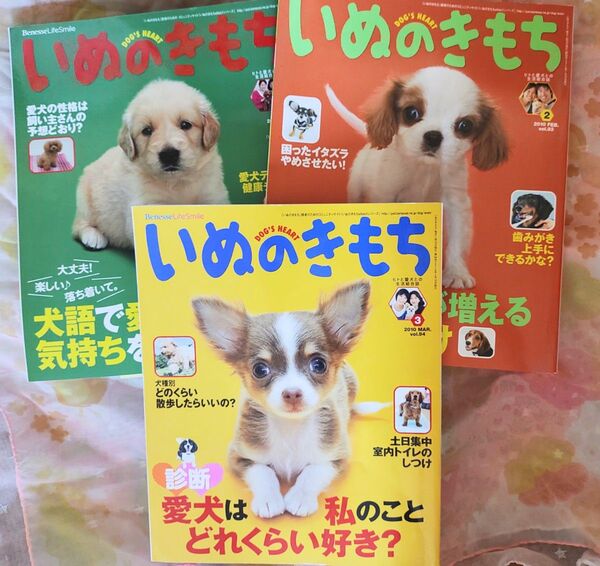 【いぬのきもち】