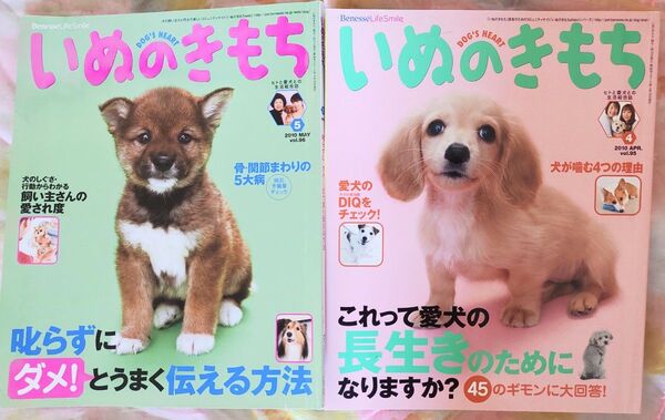 【いぬのきもち】