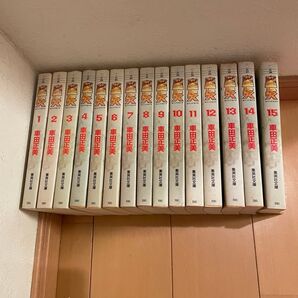 聖闘士星矢 文庫 全巻セット 全巻 完結