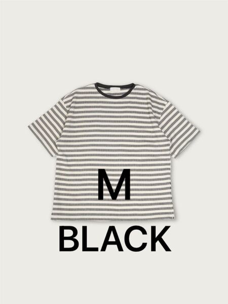 Domino Border Ringer T-shirt OVY BLACK M Tシャツ ボーダー