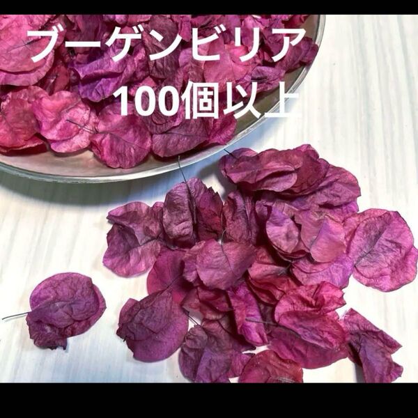 ブーゲンビリア ドライ花100個以上 乾燥済み 6.16完成 クラフト素材 コメント下さい!