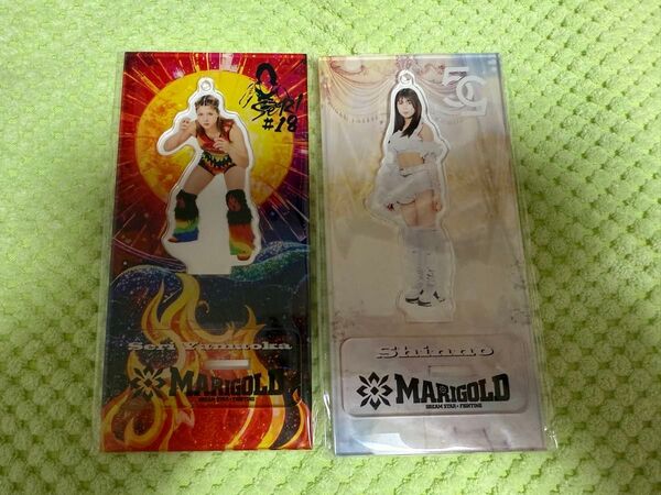 女子プロレス マリーゴールド MARIGOLD アクリルスタンド 山岡聖怜 心希 アクキー / スターダム カード サイン